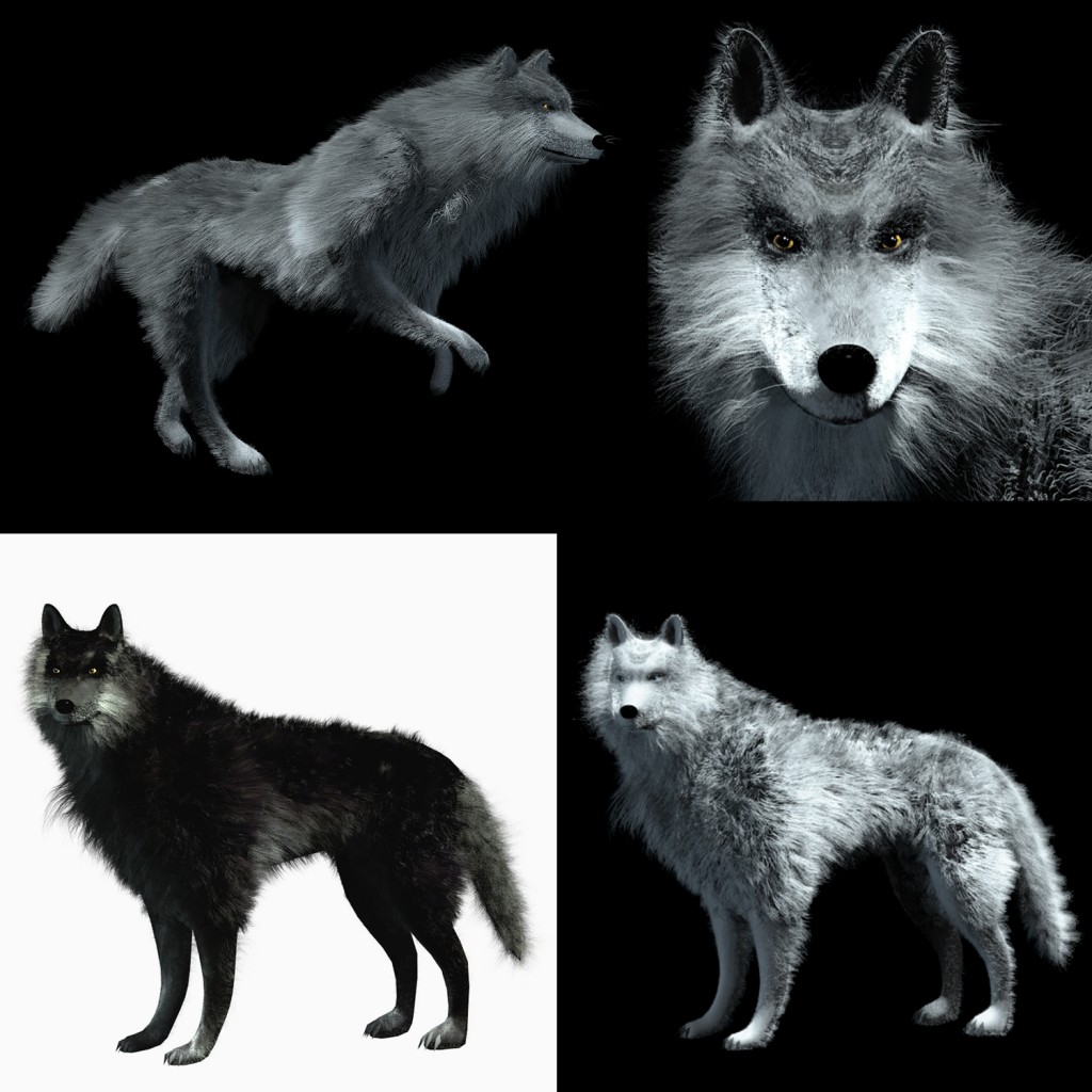 wolf fur preview image 3